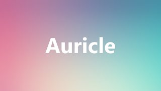 Auricle - Medical Definition
