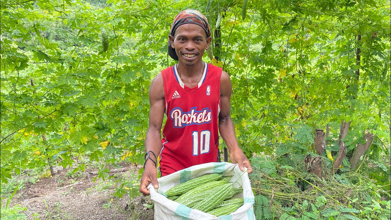 AMPALAYA 1/4 HECTARE 10K PUHUNAN, 200K KITA kahit BAGSAK PRESYO
