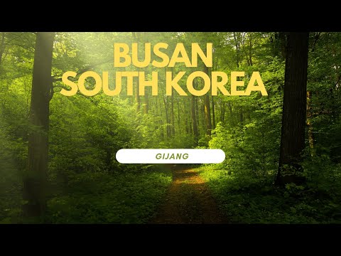 rain vlog south korea eps topik hrd korea busan rain