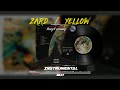 Saeed nikbakht  zard yellow instrumental     