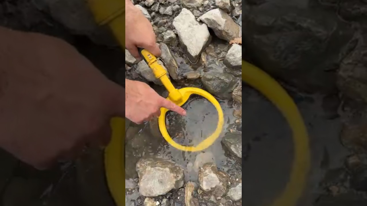 🌊 Detector Beeping by the Water… Treasure?! 
