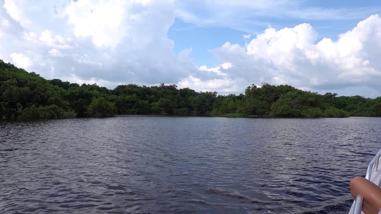 The Mighty Amazon River YouTube