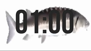 Celebrity 1 Minute Timer With Fish Spinning Wealth