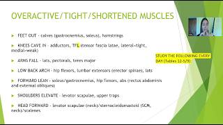 Anterior Pelvic Tilt (Low Back Arch) During a Squat Explained | NASM OHSA