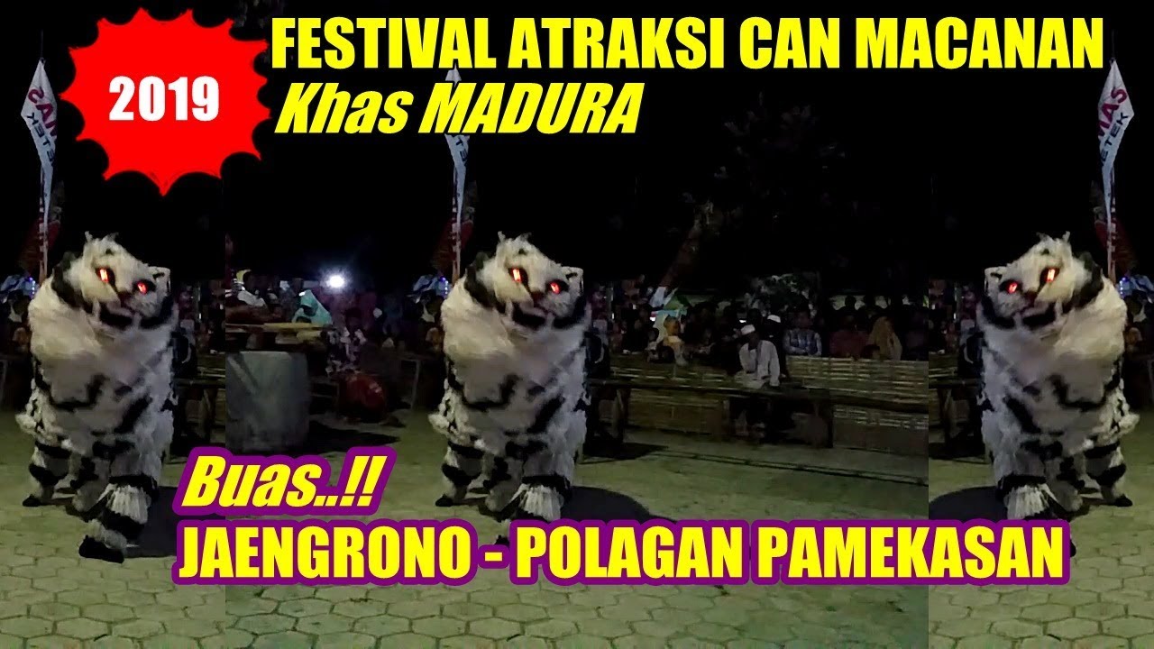 CAN MACANAN BUAS JAENGRONO PAMEKASAN - Festival Atraksi Can Macanan Khas Madura 2019