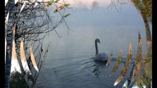 Chopin-Tristesse (piano)