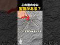 たった1時間で宝物を見つけた