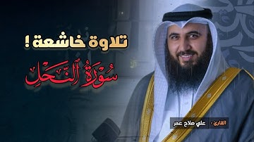 جمال الترتيل وترنّم خاشع لسورة النحل بصوت الشيخ علي صلاح عمر | فجر 18-8-1446 هـ