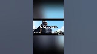 Wolf wolk 2023 yilgi videolar wolfwolknew