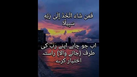 سورة الإنسان 29 30