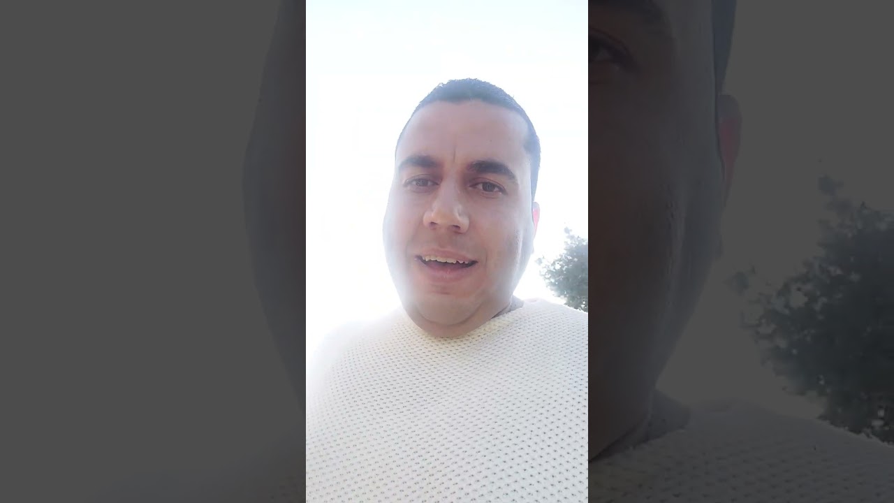 تركيب شجرة السفرجل ب التفاح والاجاص اكثر من صنف او الانجاص على السفرجل مع تحيات المهندس زكي الياسين