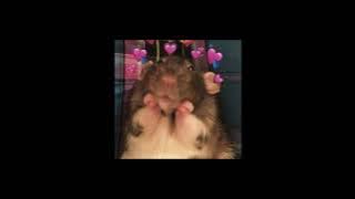 Stuck With U ( Speed Up   Reverb )