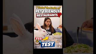 I Tested the Limits of Pet Friendly Restaurants || #petvlog #funnyshorts #cuteanimals #experiment