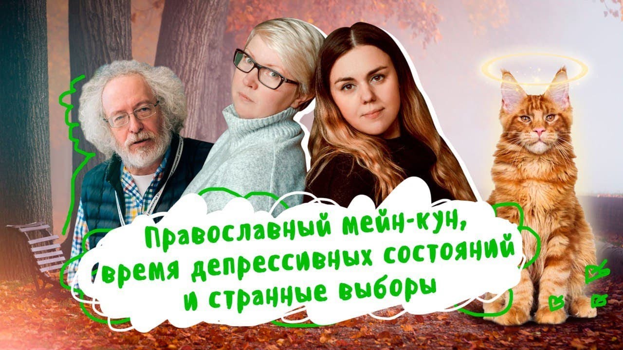 Хонда кун 2 сезон
