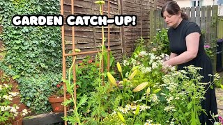 Potting On, Cutting Flowers & a Garden Catch-Up 🌸