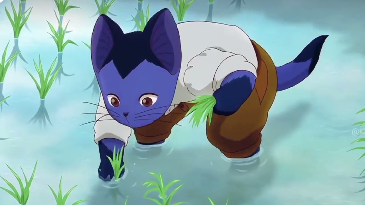 wheat 🌾 Crop Preparation.  