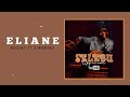 Selebu Official Ft Sinaminy ELIANE Official Audio