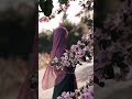 araz kiya hai us ke Gali ma mujhko jana nhi#sadpoetry #ishq #sadpoetry