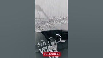 bionic AI flying fox by festo