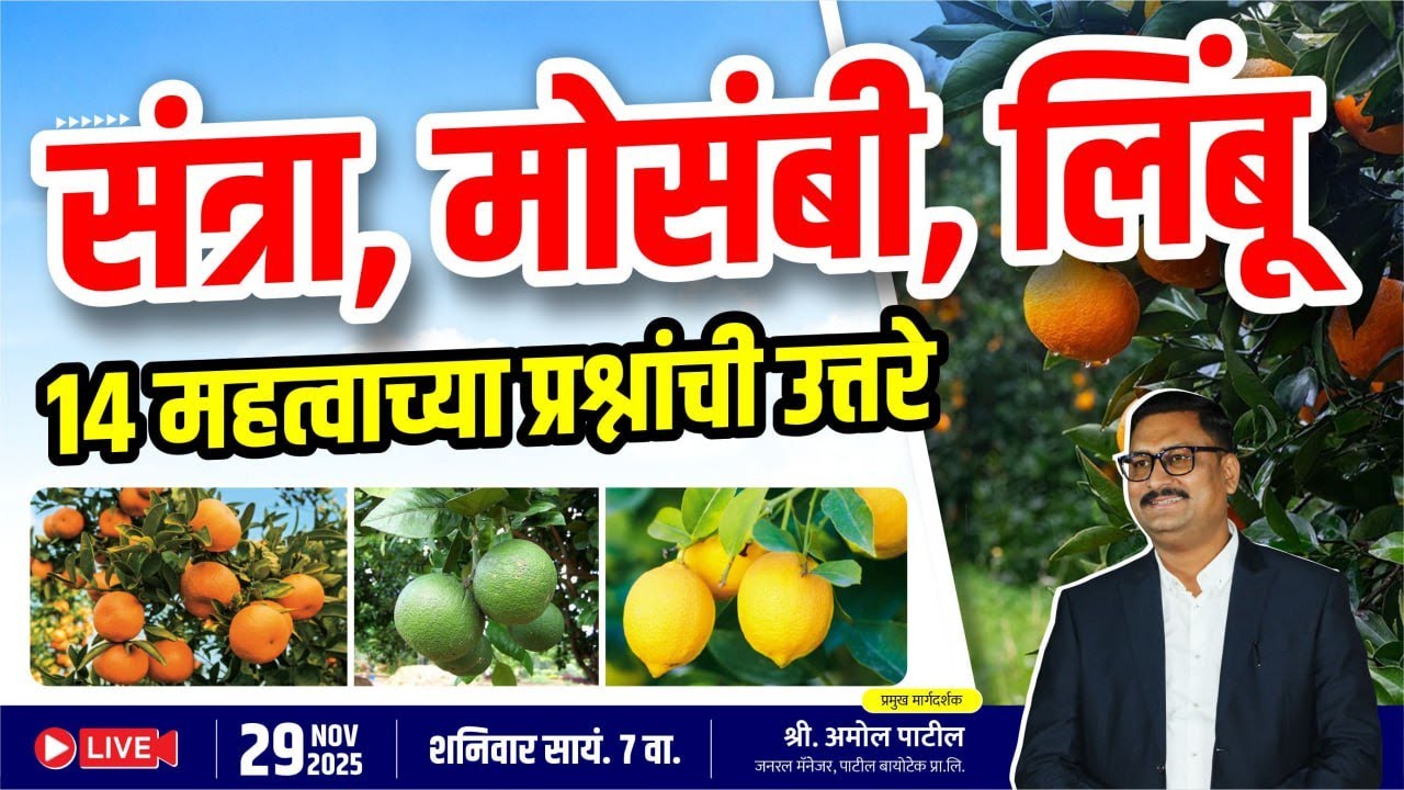 संत्रा ,मोसंबी ,लिंबू  14 महत्त्वाच्या प्रश्नांची उत्तरे