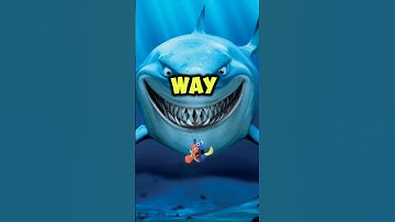 Finding Nemo | A Heartwarming Pixar Adventure