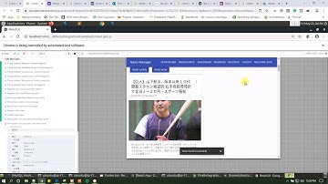Automatic End to End Testing | cypress testing Demo | react Application End to End Testing