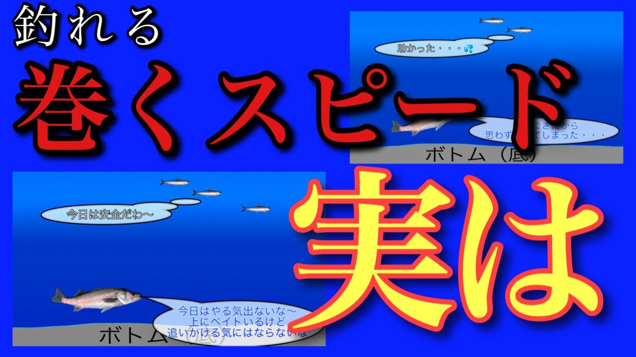 巻き速度とベイトの関係性ハイギアローギアどっちが有利？