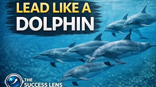 Lead Like a Dolphin: The Leadership Secret Behind High-Performing Teams @TheSuccessLensOfficial 