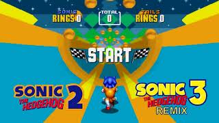 Sonic the Hedgehog 2 Special Stage Sonic 3 remix