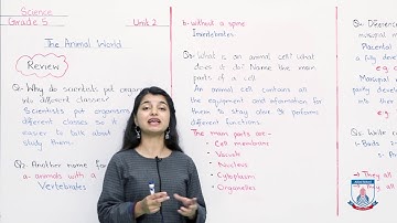 Class 5 - Science - Chapter 2 - Lecture 61 - The animal world (Review) - Allied Schools