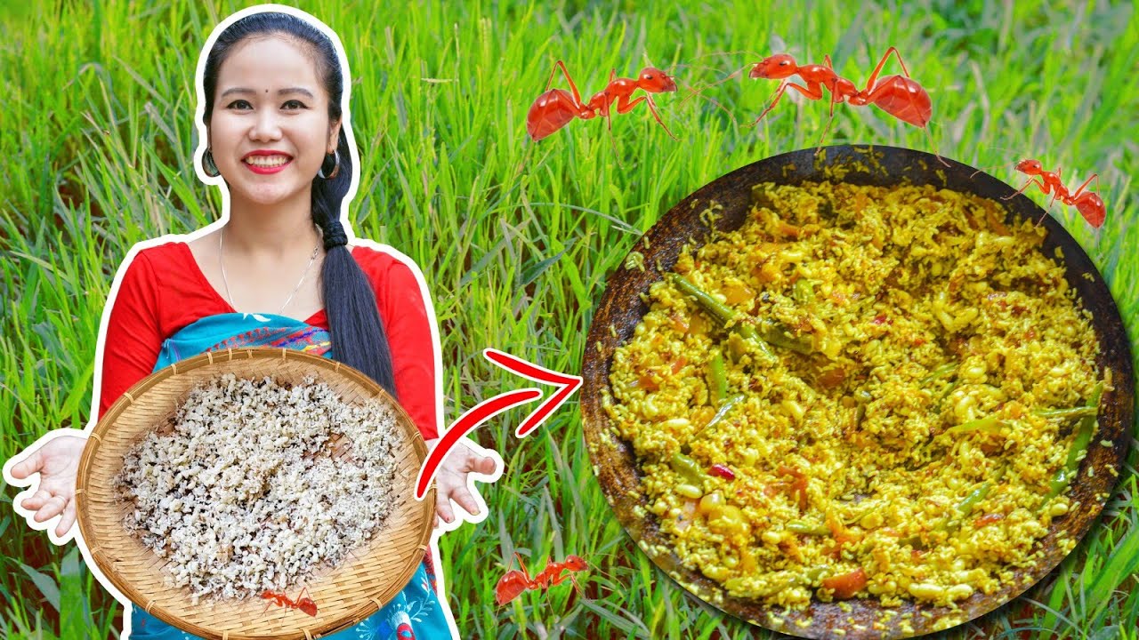 RED ANT EGG recipe EATING ANT EGGS Bodo Kitchen YouTube