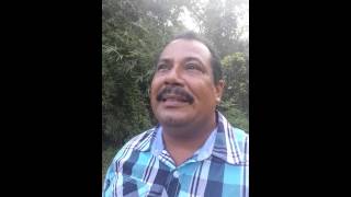 Crié hijos y los engrandeci