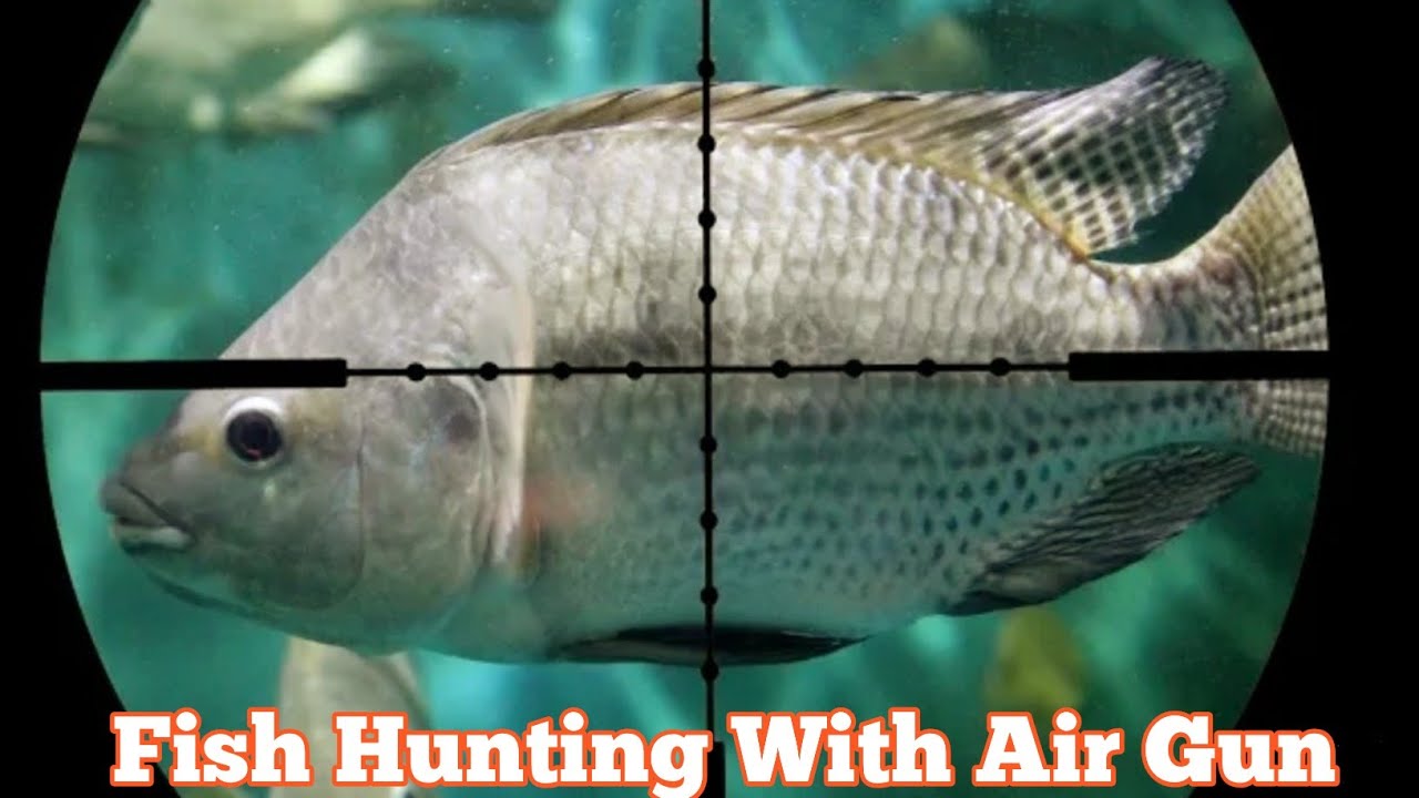Nx200 Air Rifle Hunting Hunting Air Rifle Fishing Nx200 With