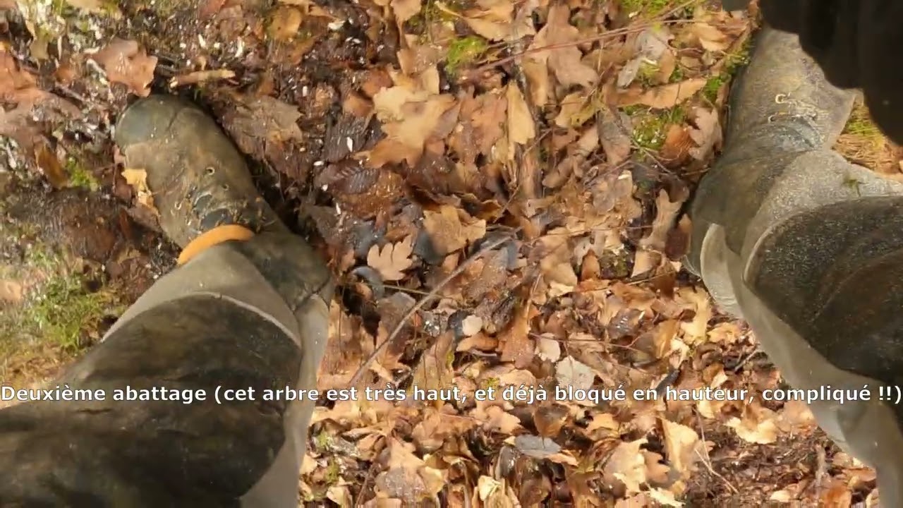 Abattages qui tournent mal !