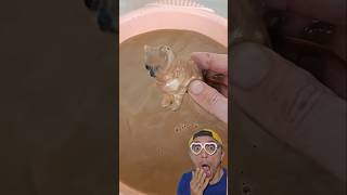 All the best is in the mud! 456 #oddsatisfying​ #satisfying​  os créditos vai 👉@Cool-Mag