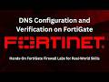 DNS Configuration and Verification on FortiGate