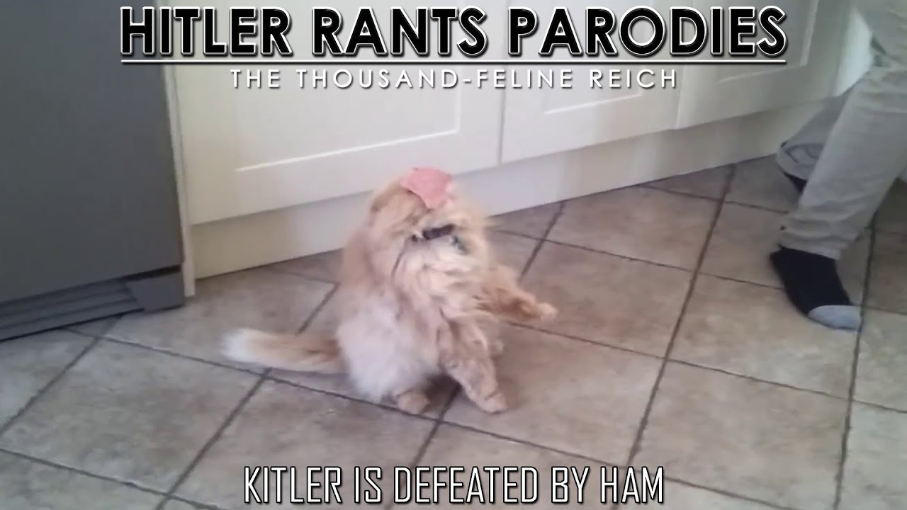 Kitler is defeated by ham