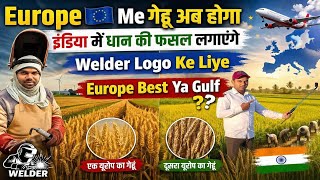Europe 🇪🇺 Me गेहूं अब हो रहा है | Welder Logo Ke Liye Gulf Best Ya Europe ! Europe Job Life 🇮🇳