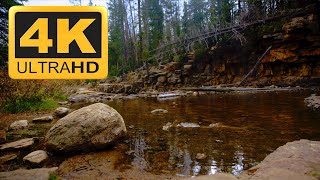Tranquil Water Serenity Spa Music Nature Gentle Stream Pine Trees Fall Colors in 4K U