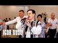 IGOR RUSU ✪ LIVE la nunta