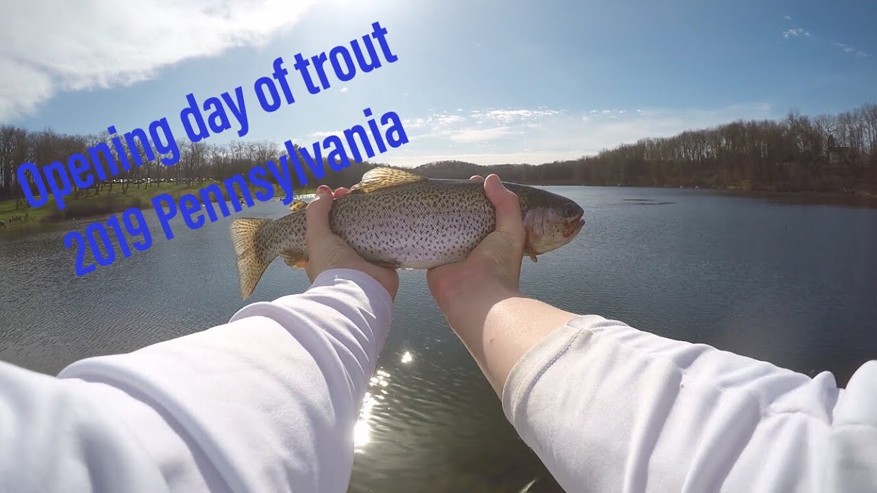 Opening Day Trout Fishing Pennsylvania. Non stop action! YouTube