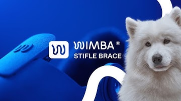 WIMBA Stifle Brace: The Future of Orthotic Design With WIMBA Is Now