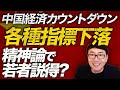 中国経済カウントダウン!各種指標下落、精神論で若者説得?「若い時には苦労は買ってでもしろ」的な昭和の日本的価値観を人民日報が朝日して総スカン!!|上念司チャンネル ニュースの虎側