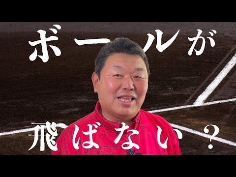 おかわりくんにボールが飛ばないか聞いてみました