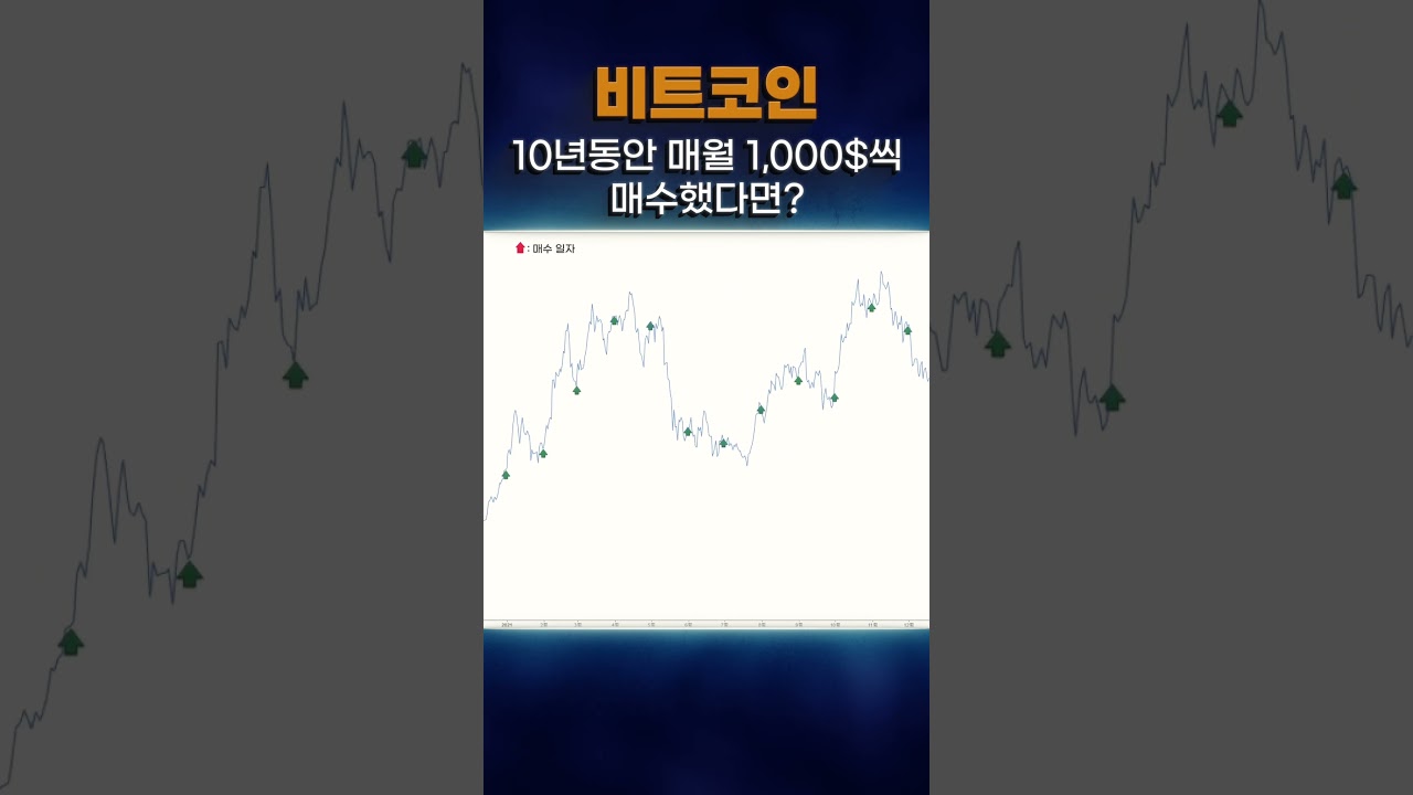 비트코인을 10년 전 매달 1,000$ 씩 꾸준히 샀다면 현재 수익이 무려!! / 머니차트 - YouTube