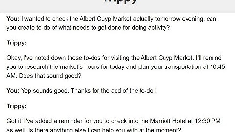 Google Ai Hackathon Trippy Demo