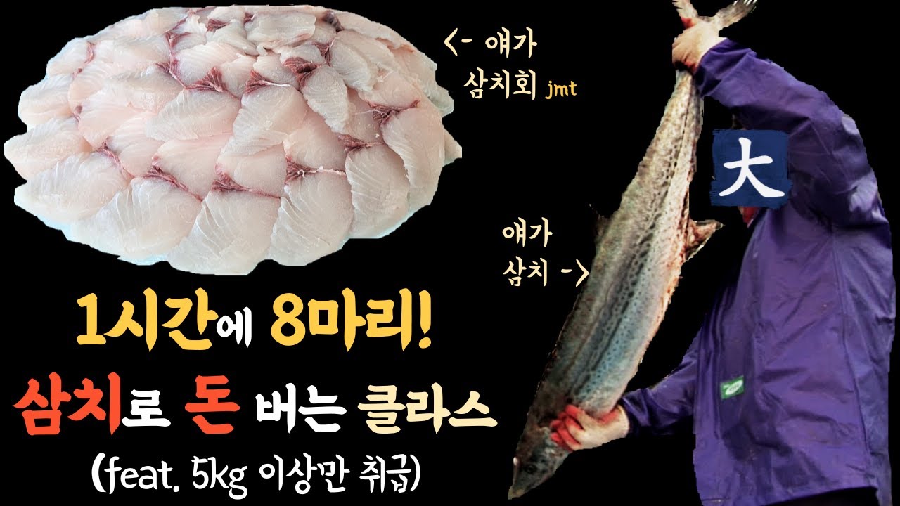 [대물 삼치잡이]잡았다하면 대물이 줄줄이~ㅣSamchi fishing ㅣ삼치회MUKBANG - YouTube