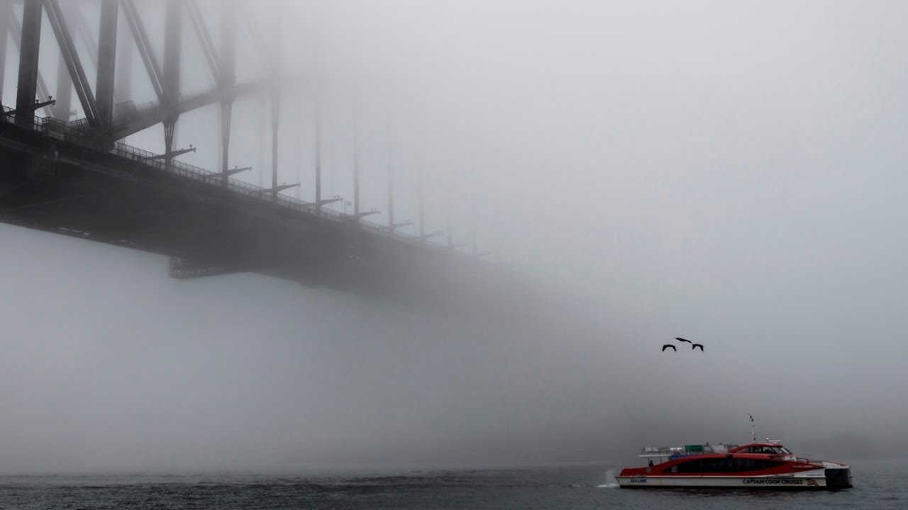 Thick fog blankets Sydney which could cause airport delays