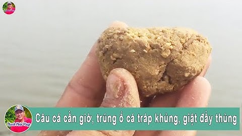 Câu cá cần giờ, trúng ổ cá tráp khủng, giật đầy thùng | Thanh Phúc Vlogs