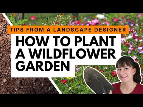 Video: A Wildflower Garden In Your Backyard - Gardening Know How